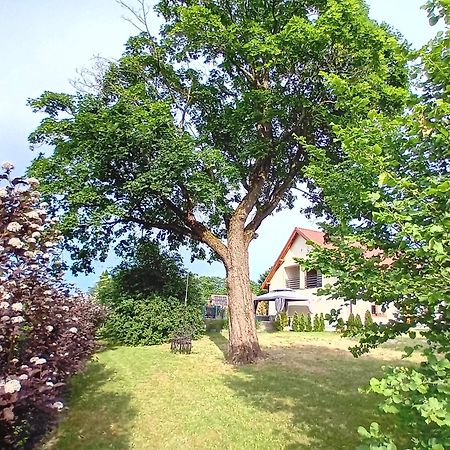 Pokoje Goscinne Sloneczny Klon Dabrowno Exterior foto
