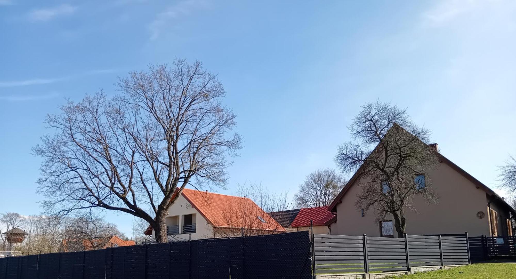 Pokoje Goscinne Sloneczny Klon Dabrowno Exterior foto