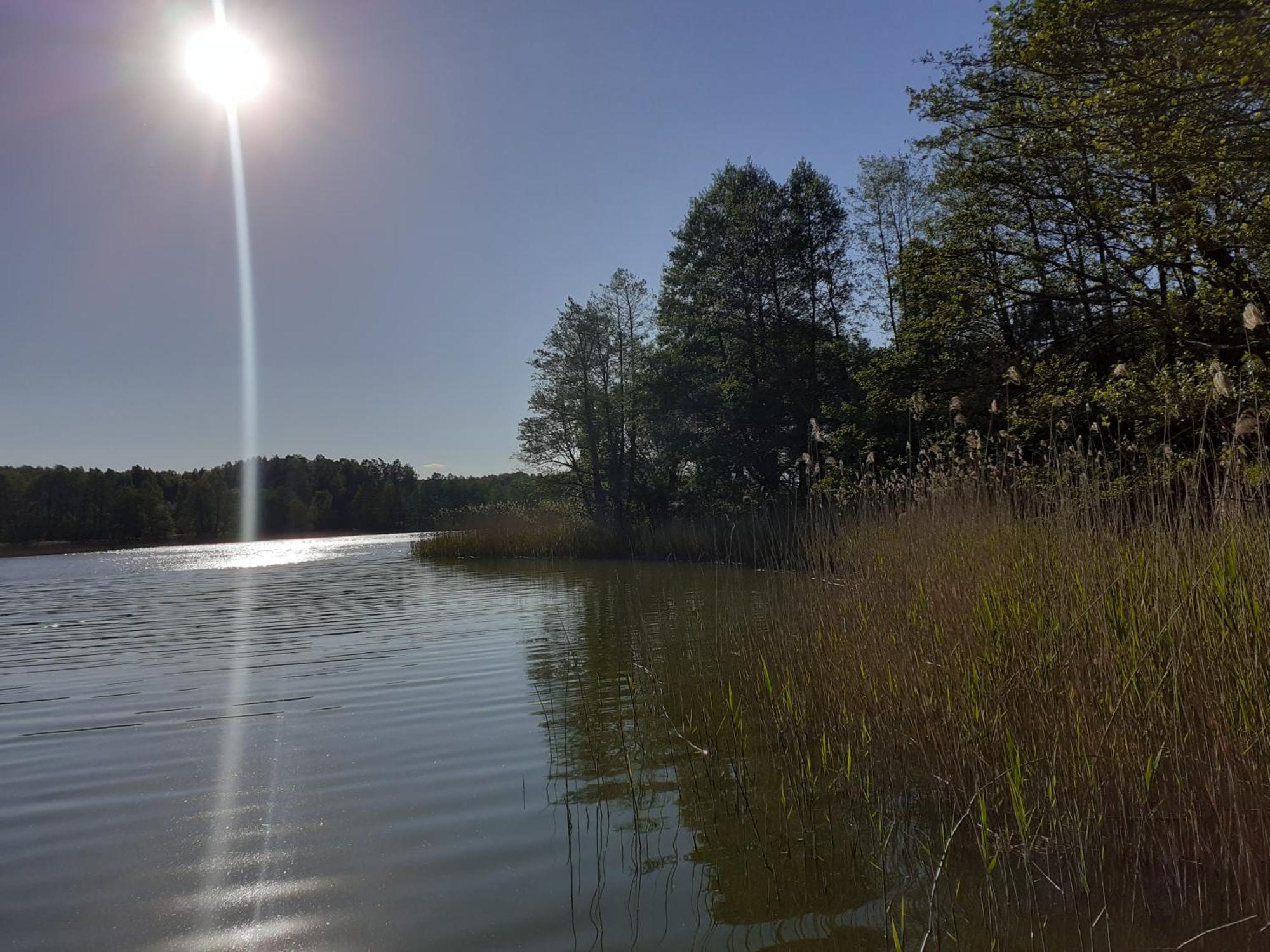 Pokoje Goscinne Sloneczny Klon Dabrowno Exterior foto