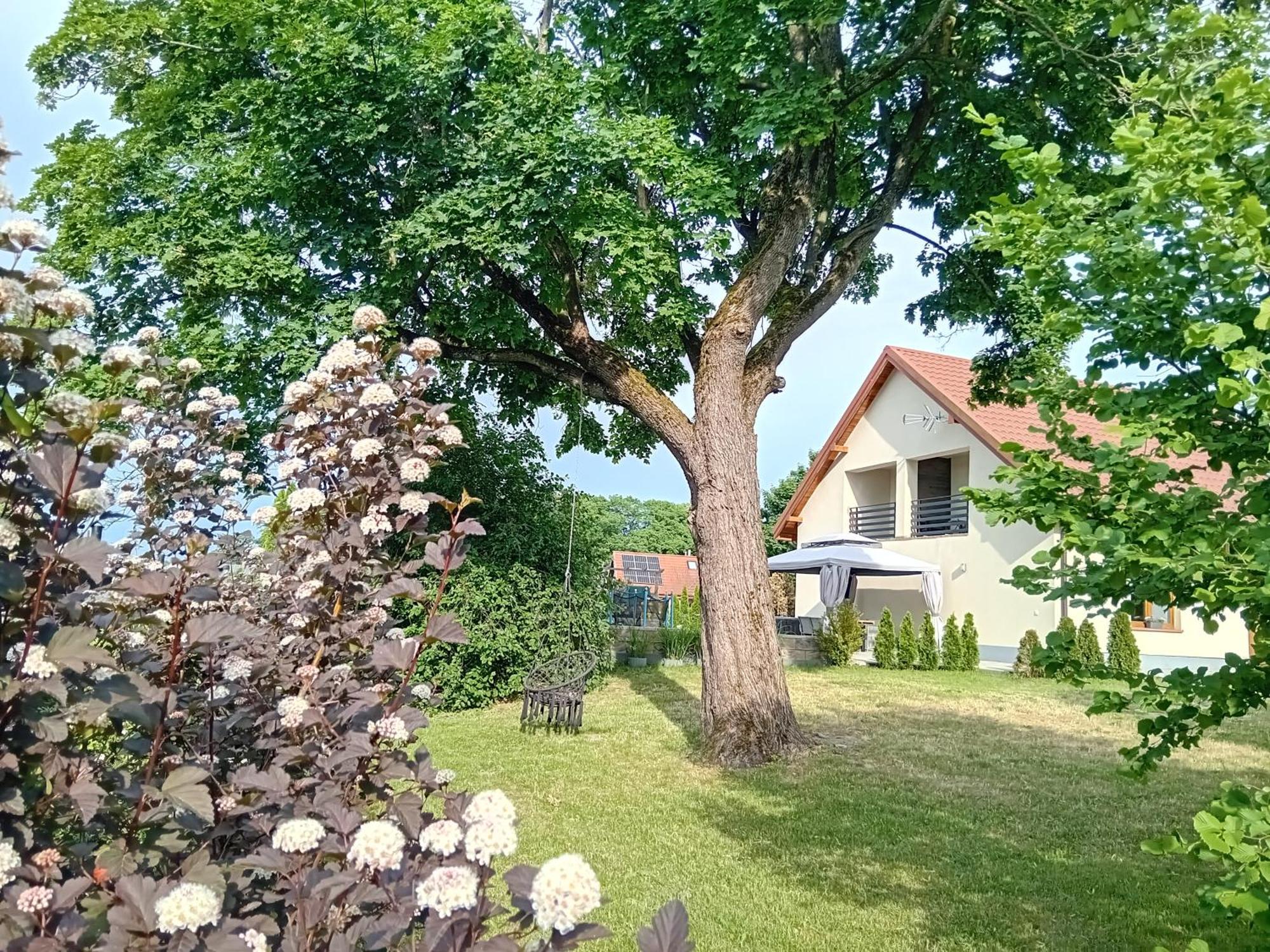Pokoje Goscinne Sloneczny Klon Dabrowno Exterior foto