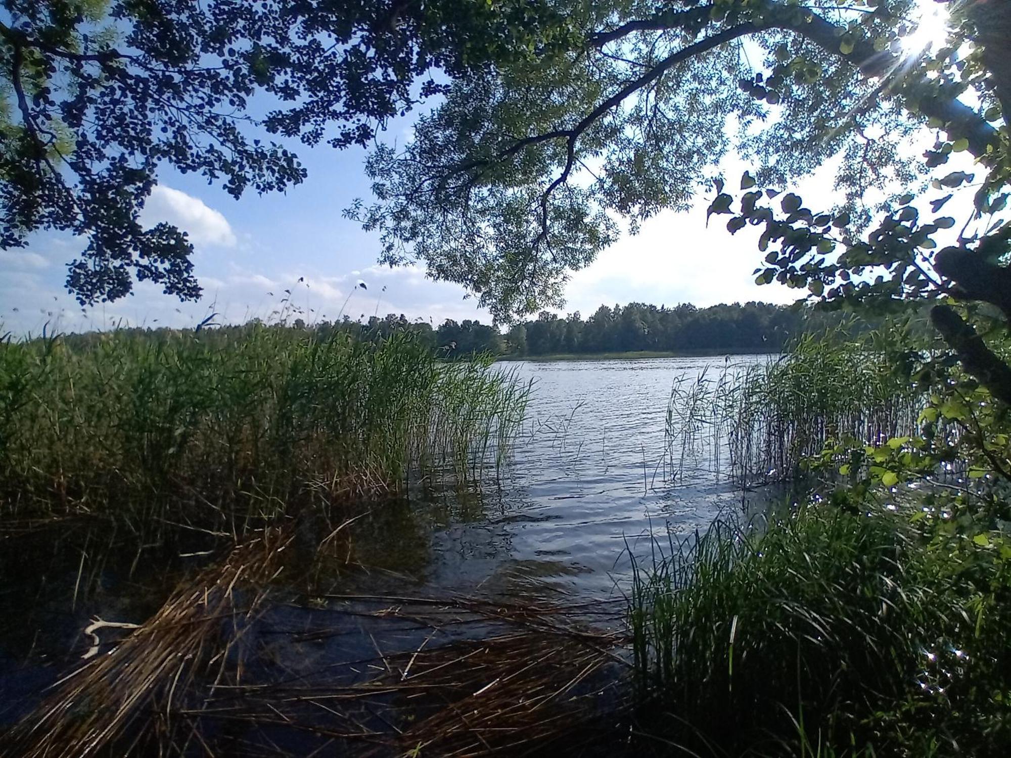 Pokoje Goscinne Sloneczny Klon Dabrowno Exterior foto