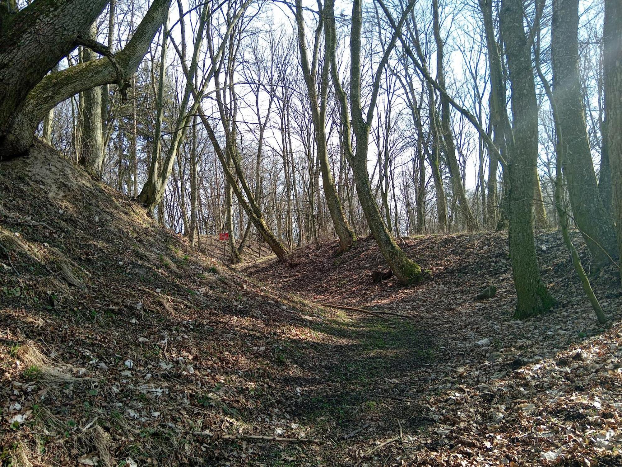 Pokoje Goscinne Sloneczny Klon Dabrowno Exterior foto