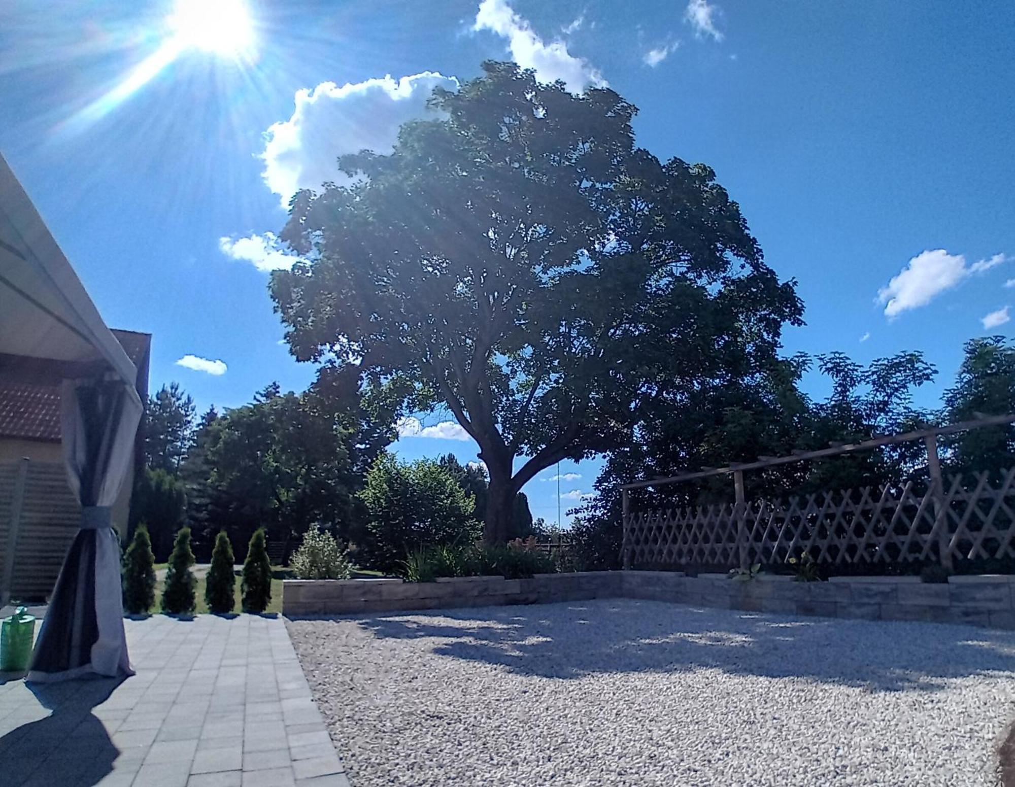 Pokoje Goscinne Sloneczny Klon Dabrowno Exterior foto