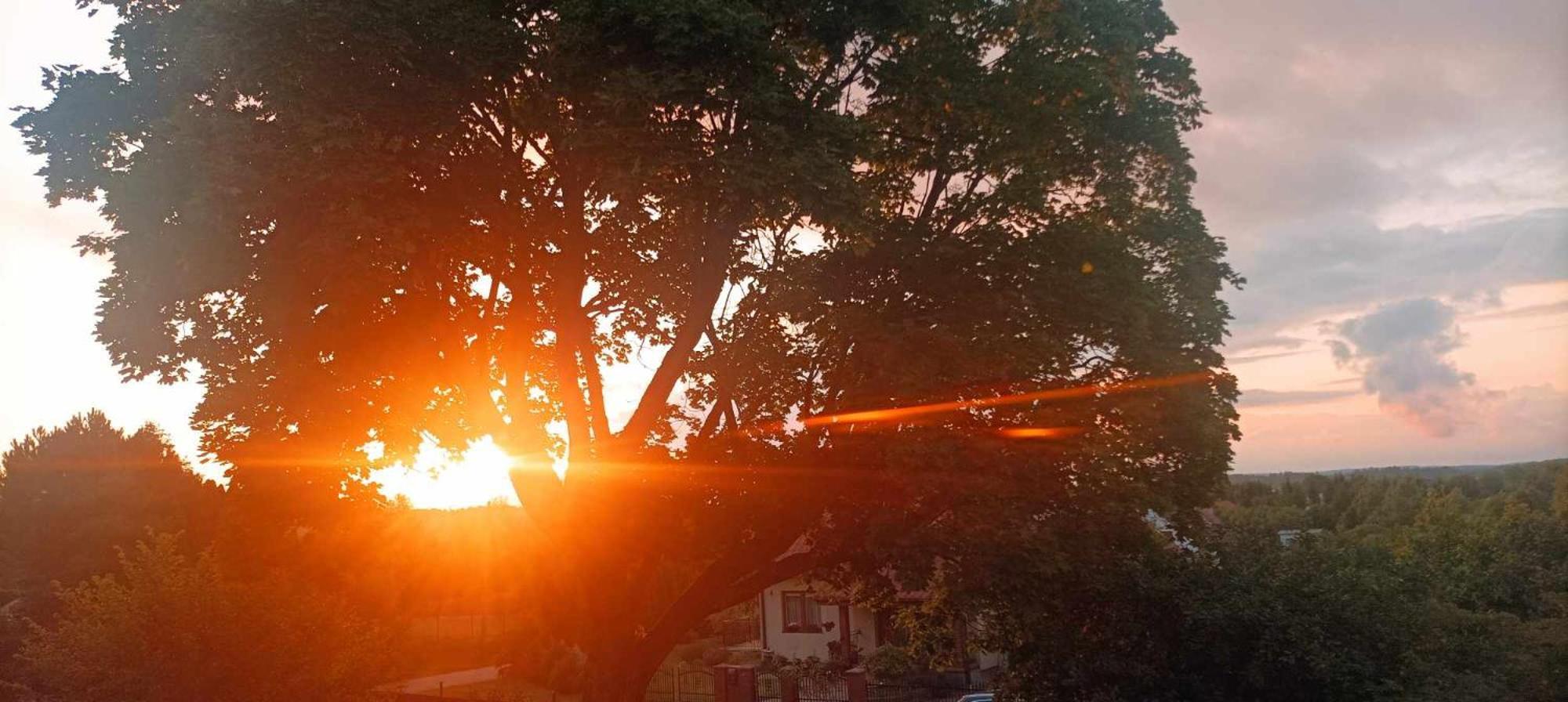 Pokoje Goscinne Sloneczny Klon Dabrowno Exterior foto
