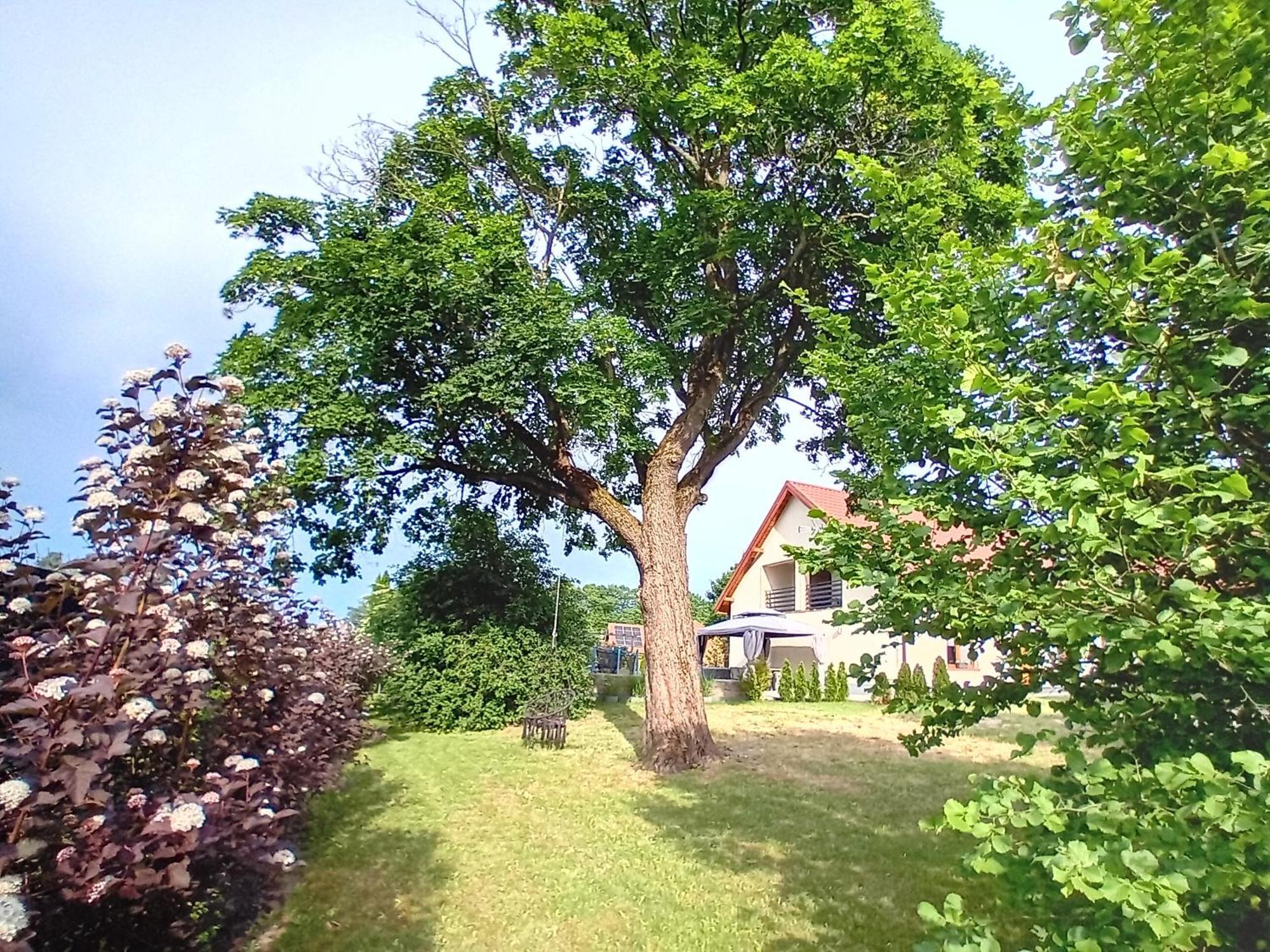 Pokoje Goscinne Sloneczny Klon Dabrowno Exterior foto